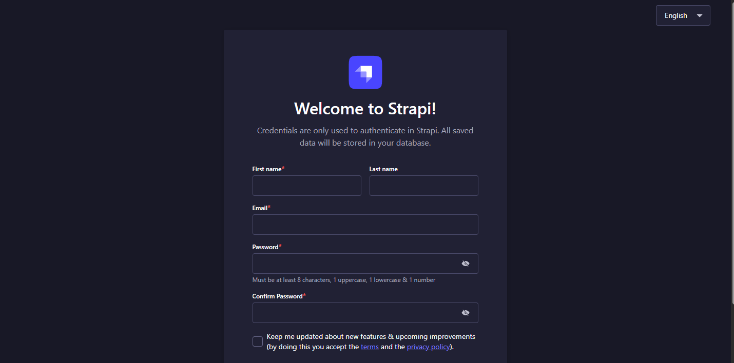Strapi Terraform Screenshot